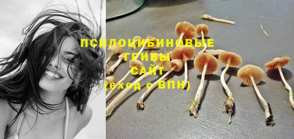 дурь Алексеевка