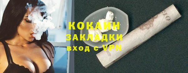 кокс Алексин