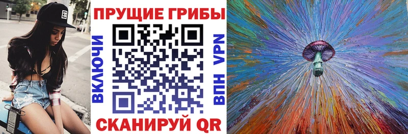 Галлюциногенные грибы мицелий  mega маркетплейс  Рыбное 